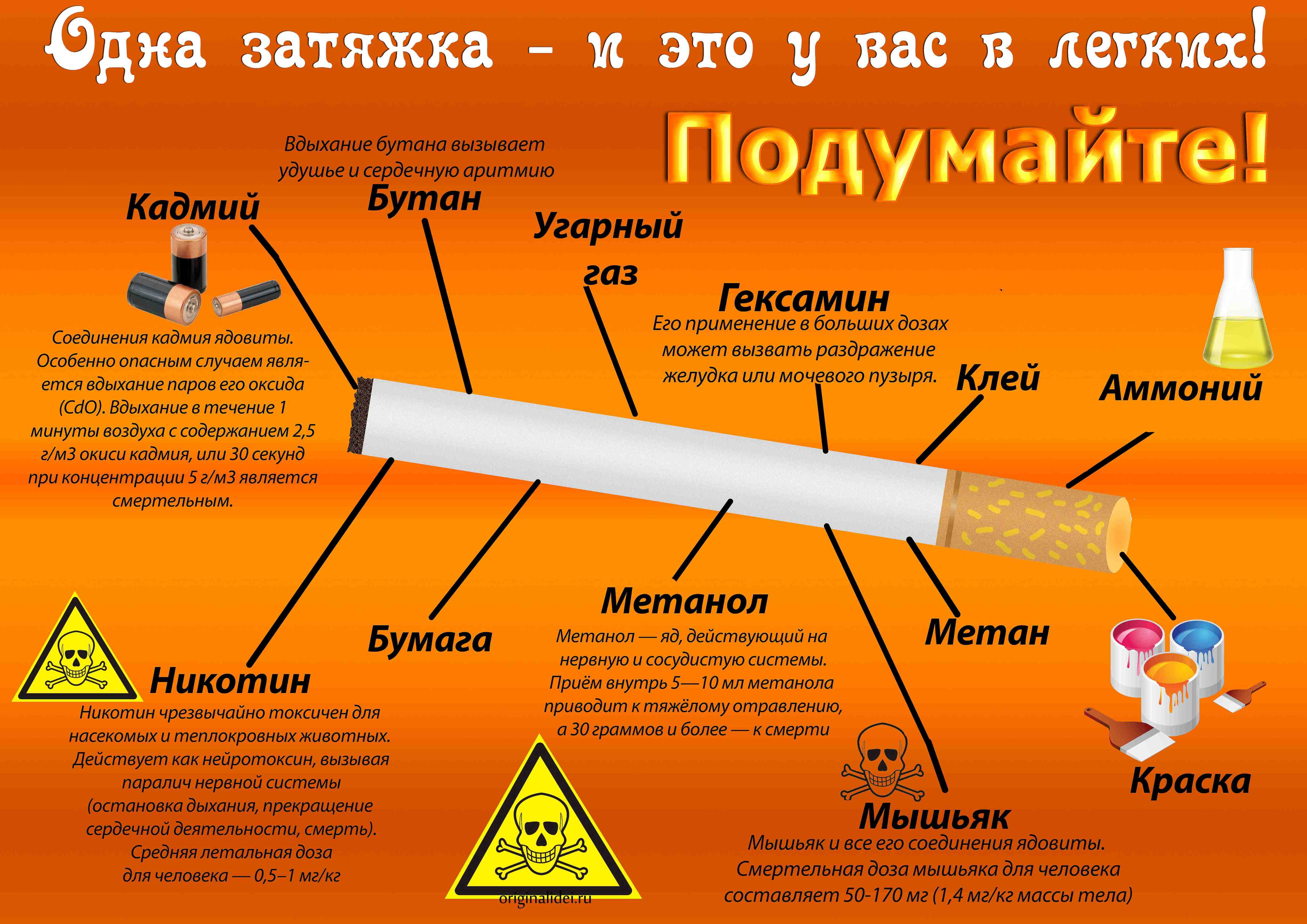 31 мая мир отмечает Всемирный день без табака, который служит важным напоминанием о вреде курения и необходимости отказаться от табачных изделий.