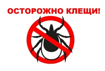 Что делать, если укусил клещ: пошаговая инструкция.