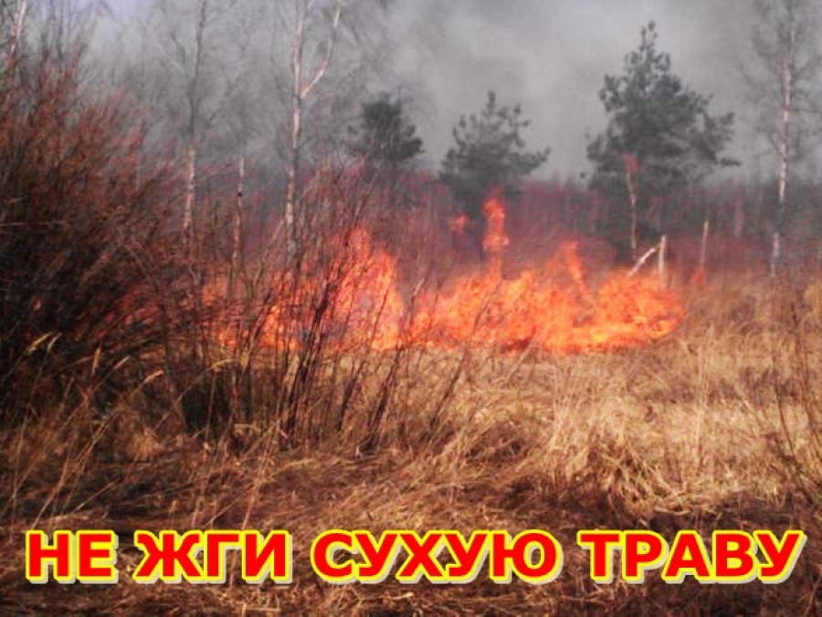 Пал сухой травы ЗАПРЕЩЁН!.