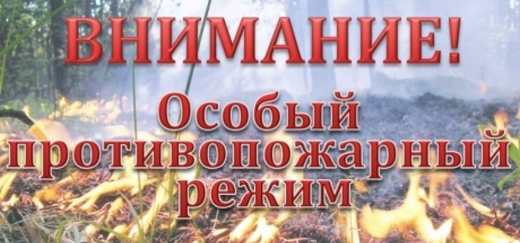 Памятка по пожарной безопасности в весенне-летний период.