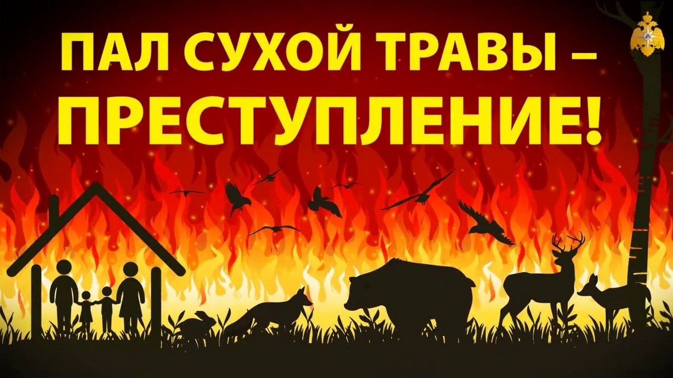 Пал сухой травы: опасность и ответственность.