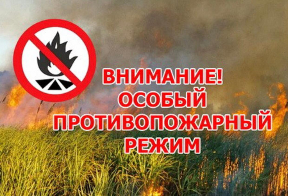 В Красноярском крае введен особый противопожарный режим.