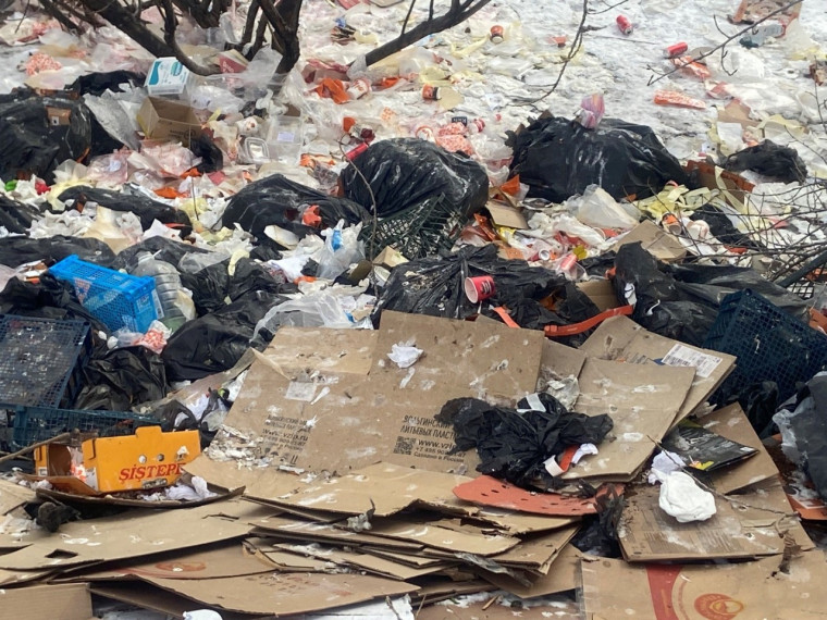 В Ачинске муниципальными инспекторами обнаружен сброс бытовых, пищевых отходов. В Ачинске муниципальными инспекторами обнаружен сброс бытовых, пищевых отходов.