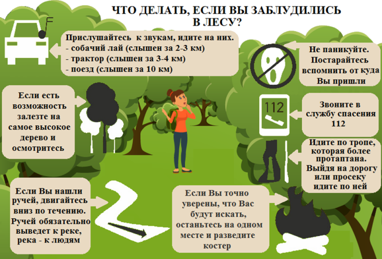 ПРАВИЛА БЕЗОПАСНОГО ПОВЕДЕНИЯ В ЛЕСУ. ПРАВИЛА БЕЗОПАСНОГО ПОВЕДЕНИЯ В ЛЕСУ.