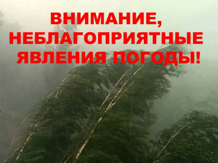 ПРЕДУПРЕЖДЕНИЕ ОБ ОПАСНЫХ И НЕБЛАГОПРИЯТНЫХ ЯВЛЕНИЯХ ПОГОДЫ. ПРЕДУПРЕЖДЕНИЕ ОБ ОПАСНЫХ И НЕБЛАГОПРИЯТНЫХ ЯВЛЕНИЯХ ПОГОДЫ.