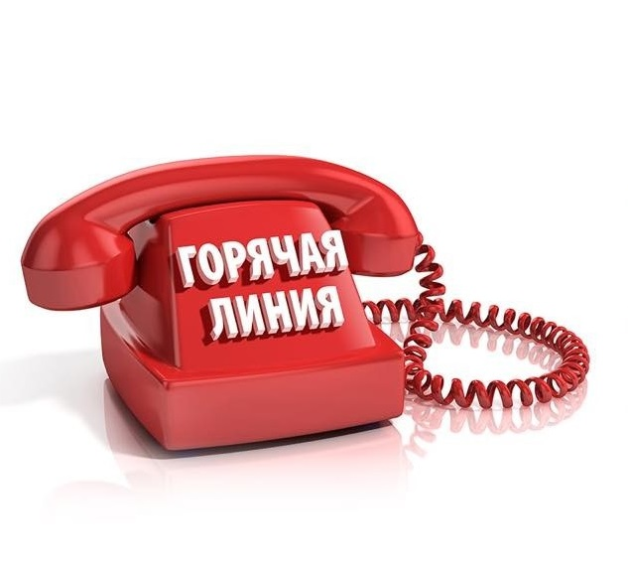В Ачинске организована горячая линия по вопросам профилактики клещевого энцефалита. В Ачинске организована горячая линия по вопросам профилактики клещевого энцефалита.