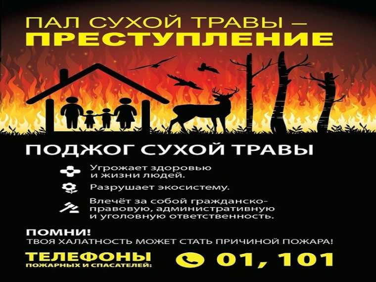 Особый противопожарный режим. Особый противопожарный режим.